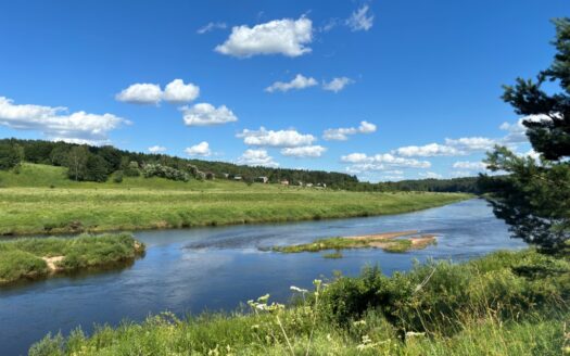 Объявление большой участок у воды в подмосковье первая линия фото
