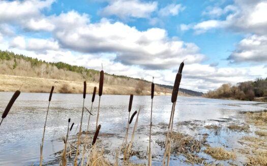Идея купить дом на Рыбинском водохранилище