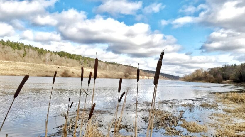 Идея купить дом на Рыбинском водохранилище