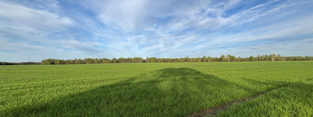 Строить жилой дом и участок купить Турынино ДЕРЕВНЯ.РФ Объявления Продажа Дом Участок Строить жилой дом и участок купить Турынино