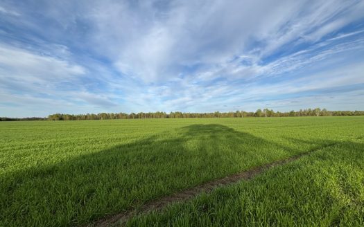 Строить жилой дом и участок купить Турынино