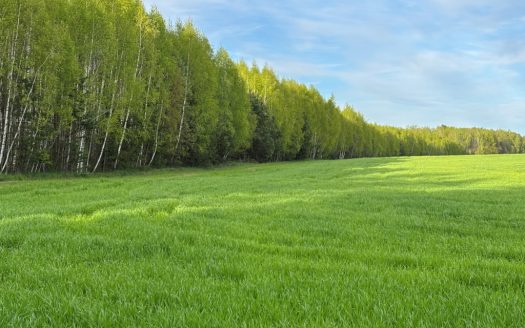 Построить свой дом и купить участки в Калуге под ИЖС Рождествено