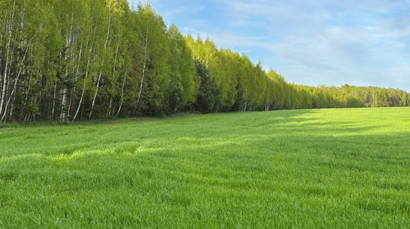 Построить свой дом и купить участки в Калуге под ИЖС Рождествено
