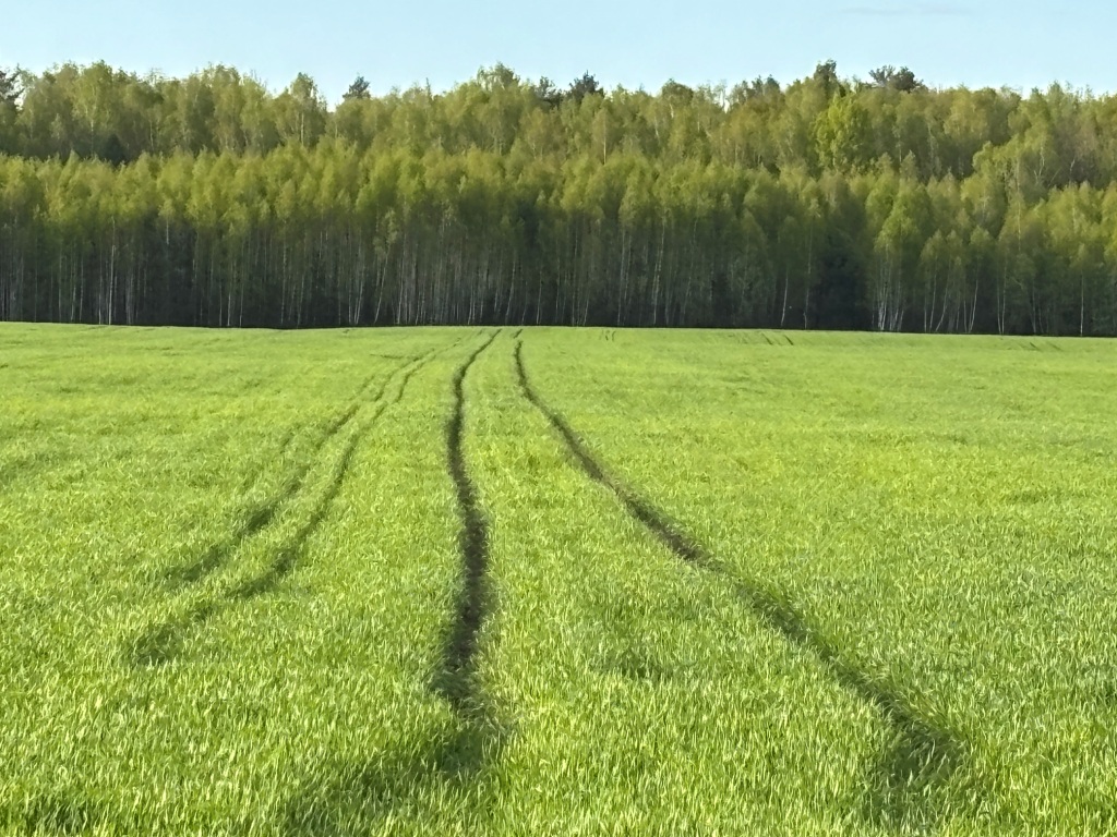 kupit uchastok izhs v kaluge fhoto