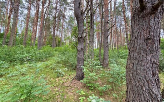 Продается Уникальный Лесной участок у реки Угра