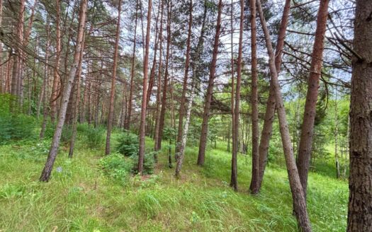 Продается Уникальный Лесной участок у реки Угра