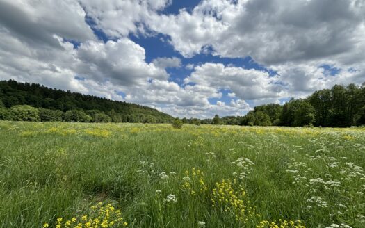 Предложение Купить участок на берегу реки Угра ПЕРВАЯ линия с газом, деревня Матово