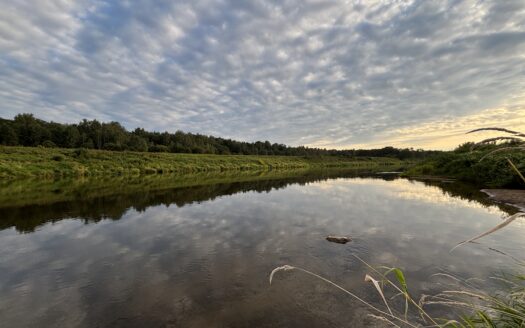 Дом из Бревна в Окружение Хвойных Лесов, Первая Линия Реки Угра