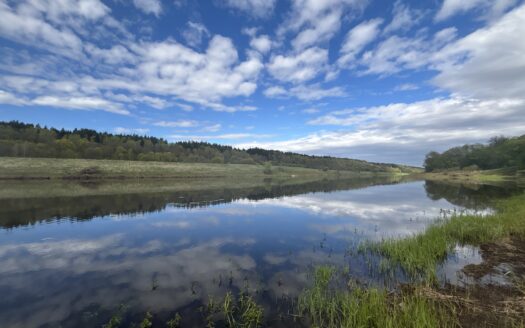 Поместье на первой линии реки Угра деревня Корокино Калужская область